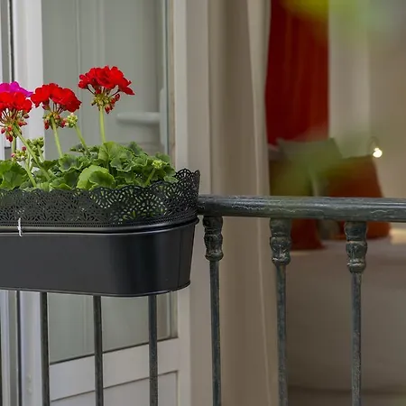 Διαμέρισμα Dreams Estrela